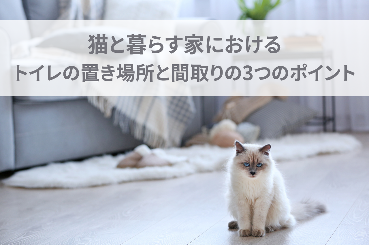 猫と暮らす家におけるトイレの置き場所と間取りの3つのポイントとは？.png